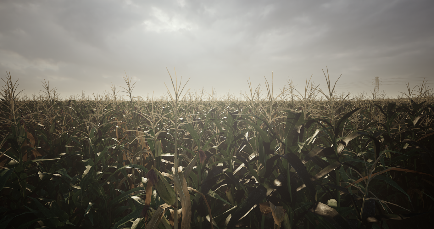 D5社区挑战赛丨第1期丨星际穿越 Cornfield 作品画廊 D5渲染器