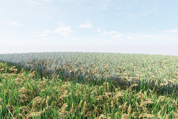 D5_图片_20230519_113510