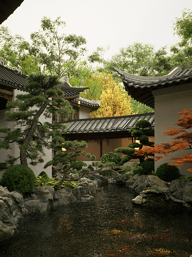 场景 29