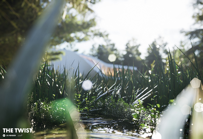 植物特写1-10M